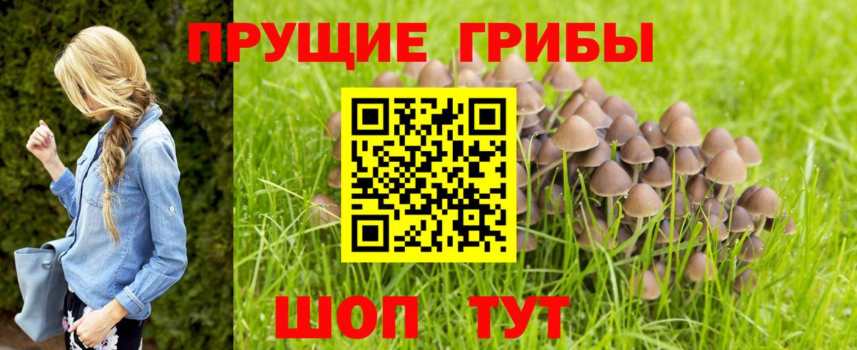 Галлюциногенные грибы ЛСД Кушва