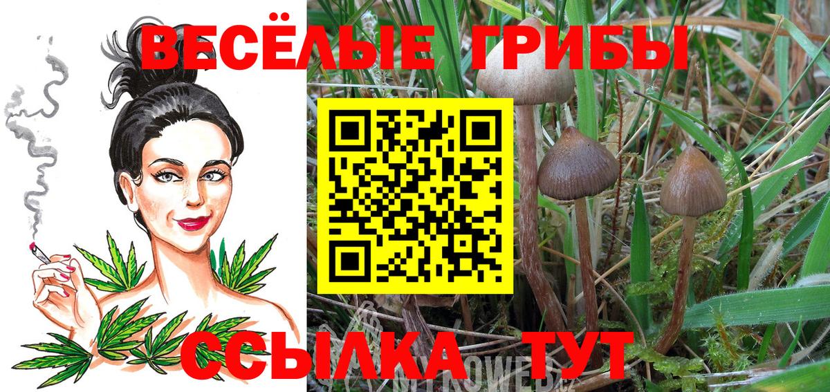 Кушва  Галлюциногенные грибы мухоморы  Вход с VPN 