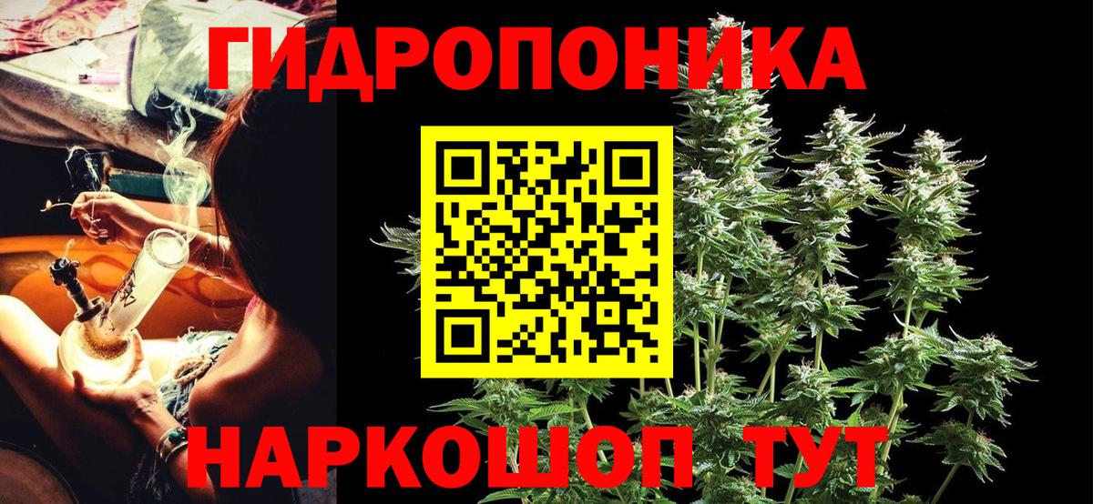 Канабис конопля Кушва